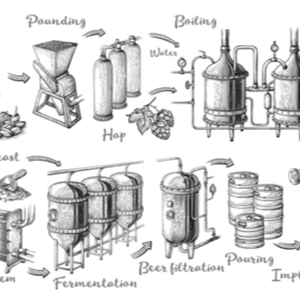 The Novice’s Guide to Beer Styles