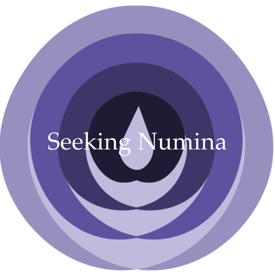 Seeking Numina