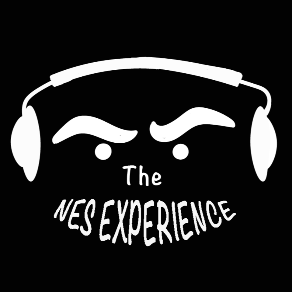 The NES Experience