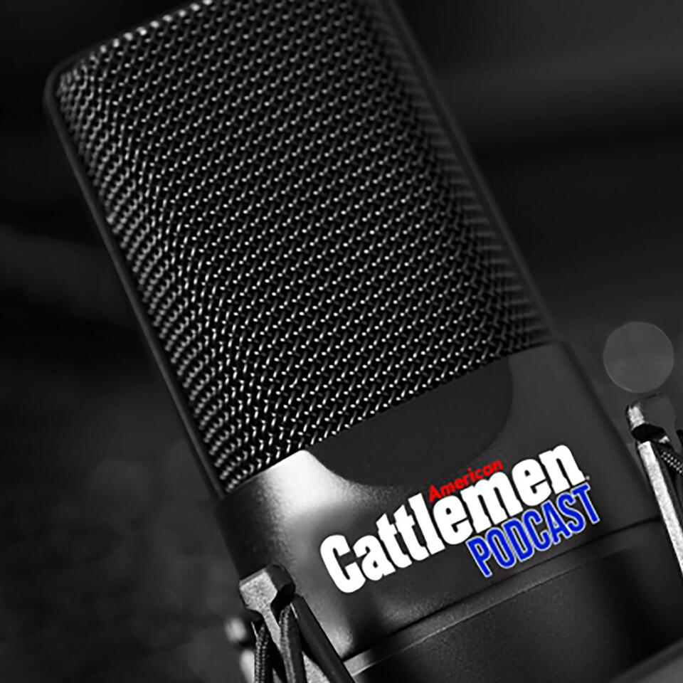 American Cattlemen Podcast