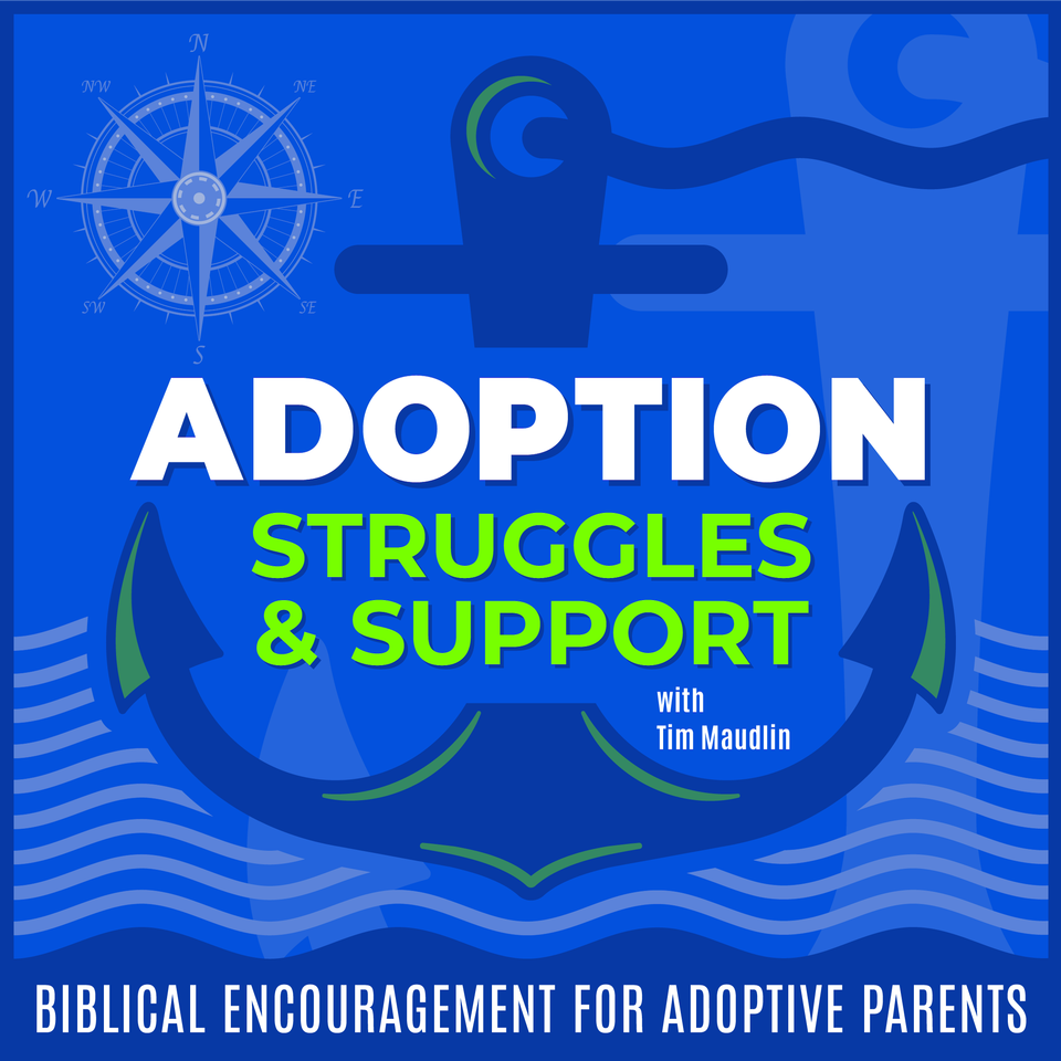 ADOPTION STRUGGLES AND SUPPORT | Parenting Guide, Overwhelm, Biblical Encouragement, Healthy Relationships