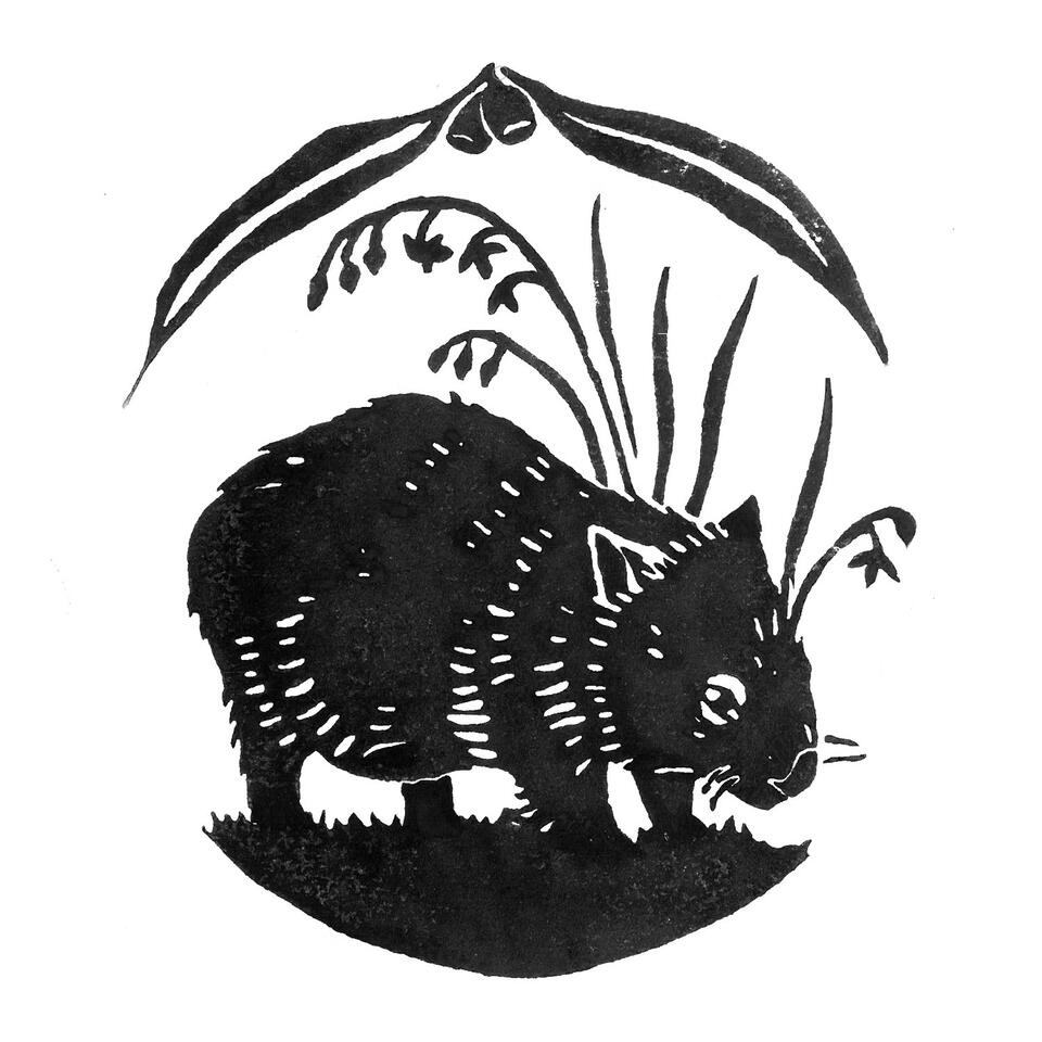 Framings of Wombat Forest
