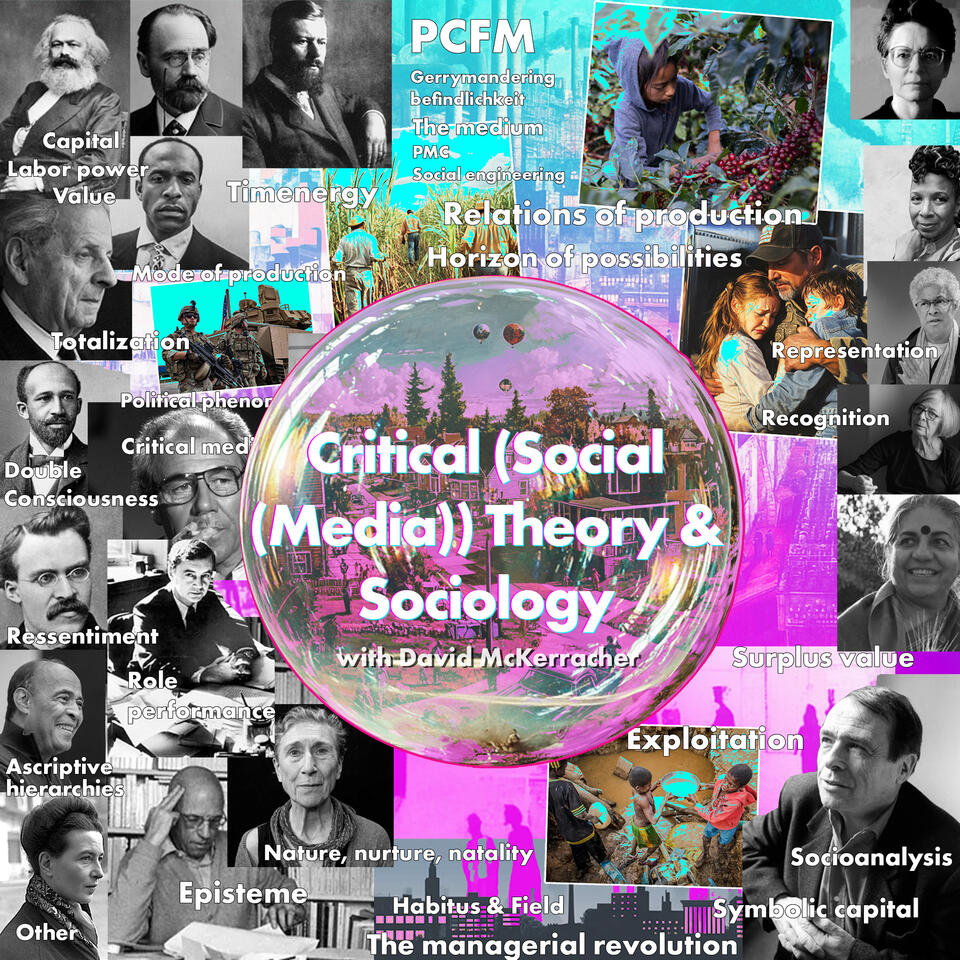 Critical (Social (Media)) Theory and Sociology with David McKerracher (100 Level Soc Class Podcast)