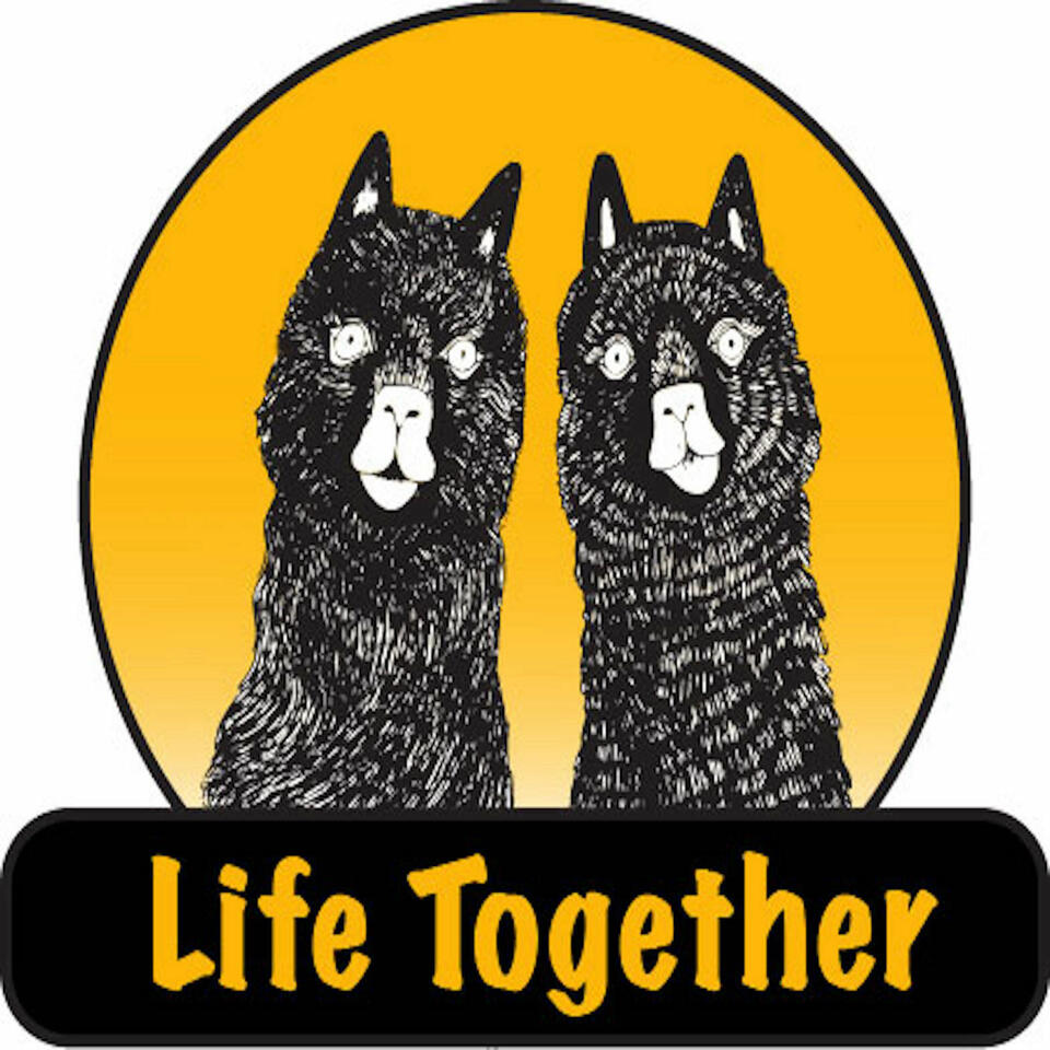 Life Together with The Two Alpacas
