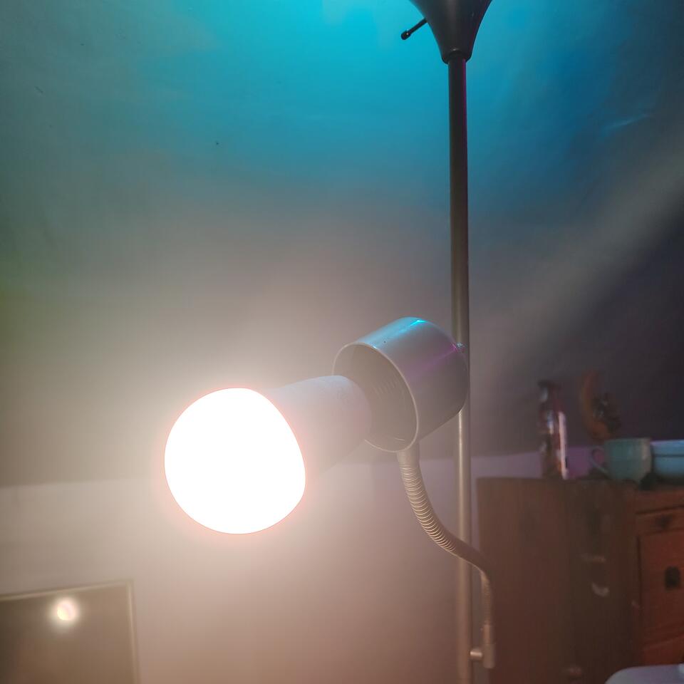 iVibe