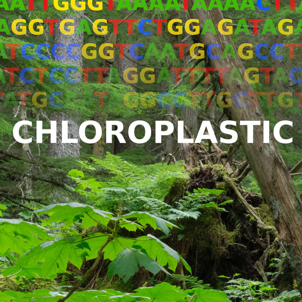 Chloroplastic