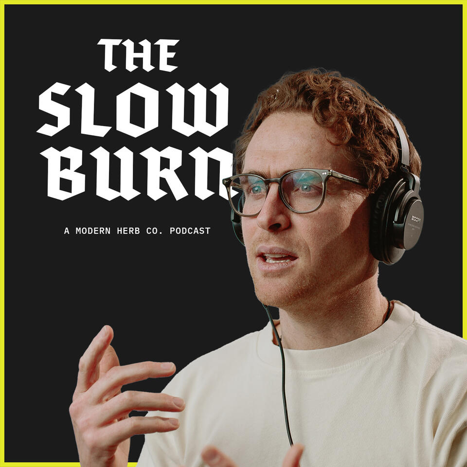 The Slow Burn