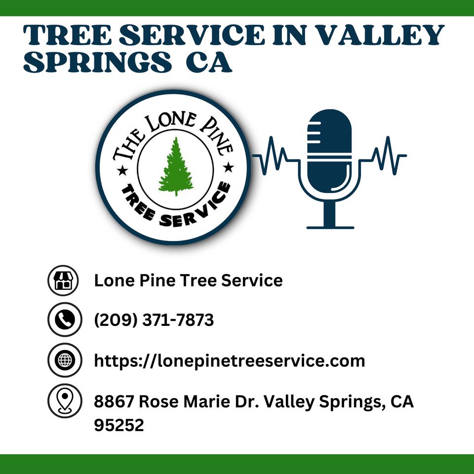 Tree Service in Valley Springs, CA by Lone Pine Tree Service