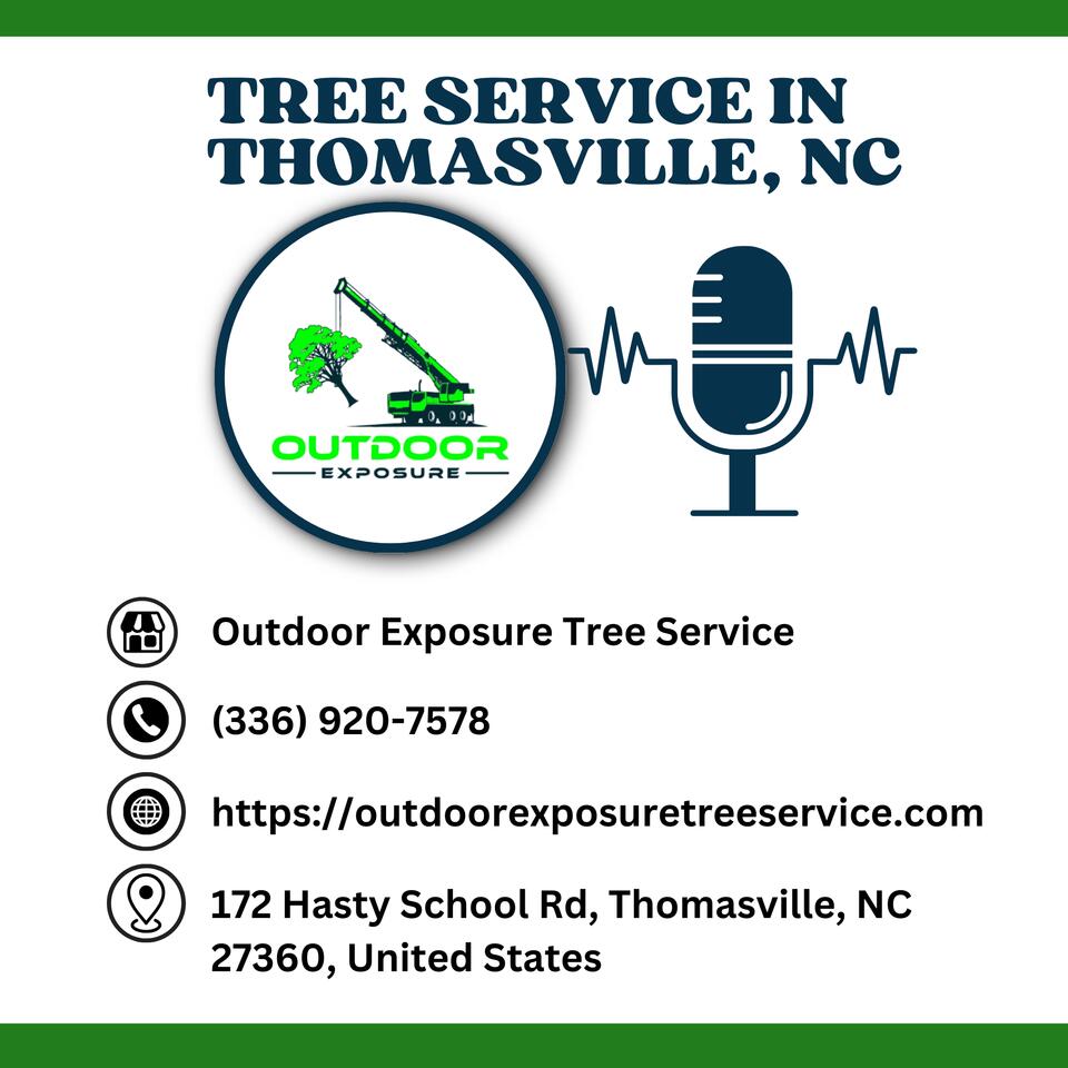 Outdoor Exposure Tree Service
