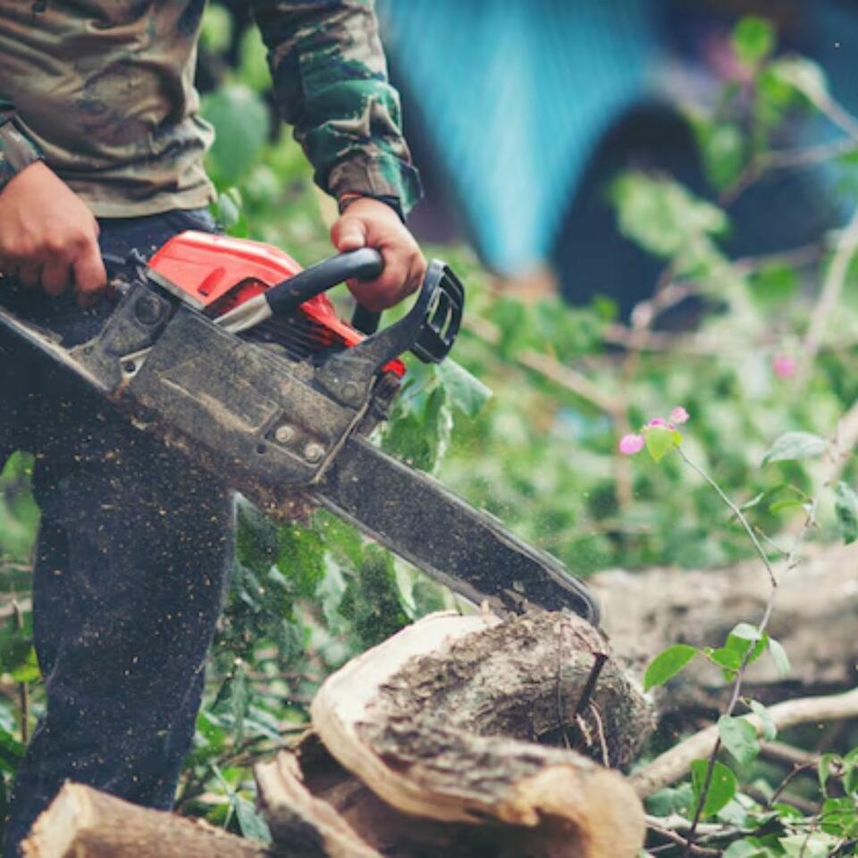 Kenwood Tree Service