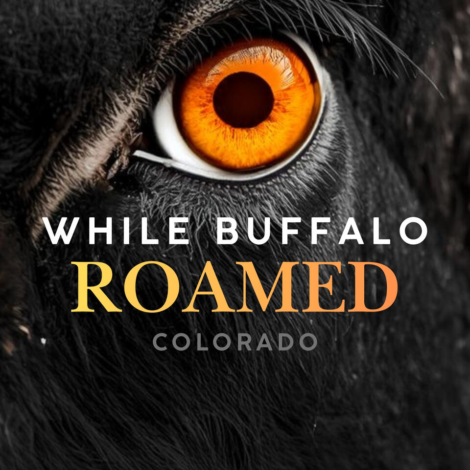 While Buffalo Roamed: The Wild Western Days of Colorado