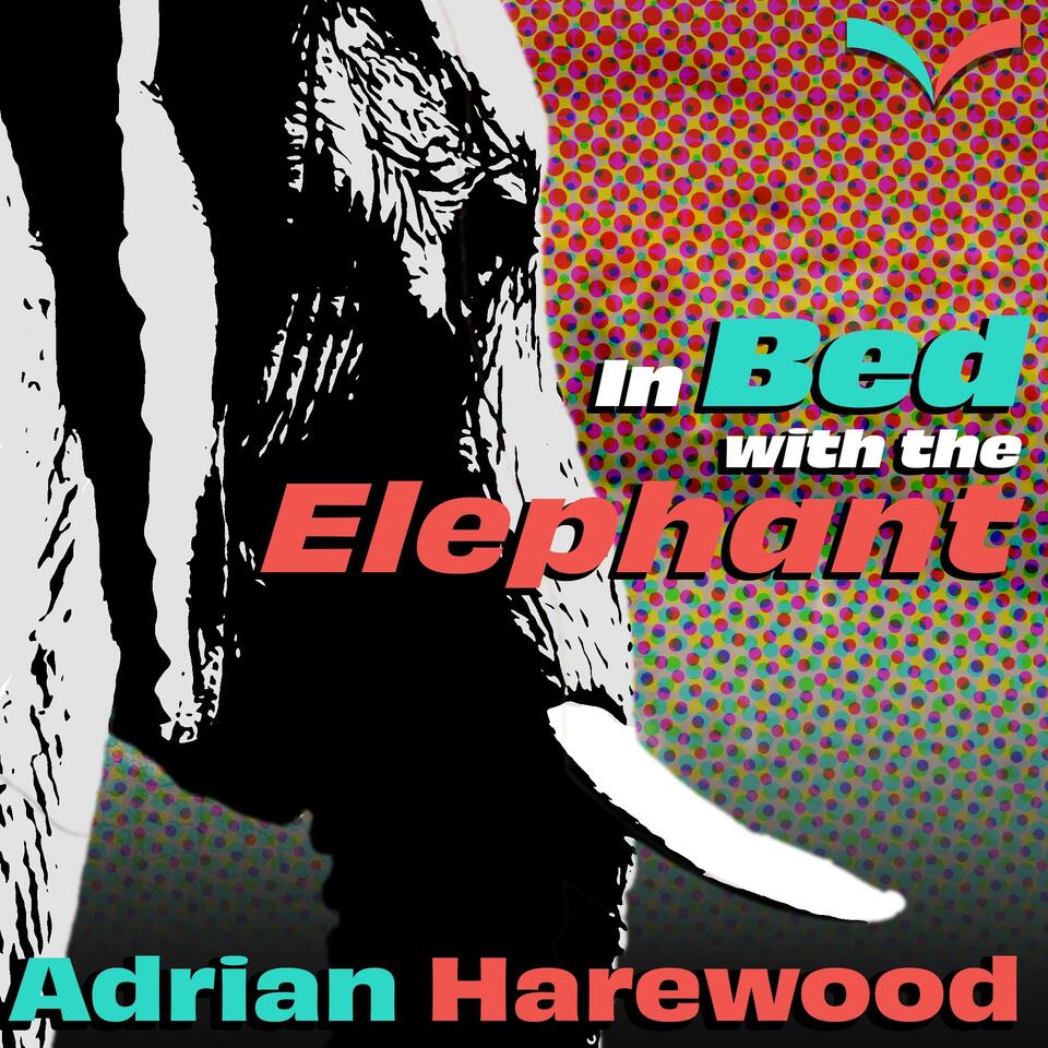 In Bed with the Elephant