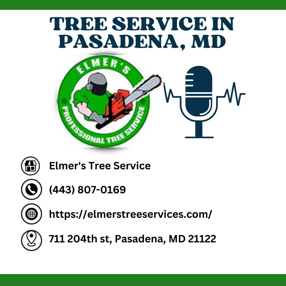 Elmer’s Tree Service Maryland
