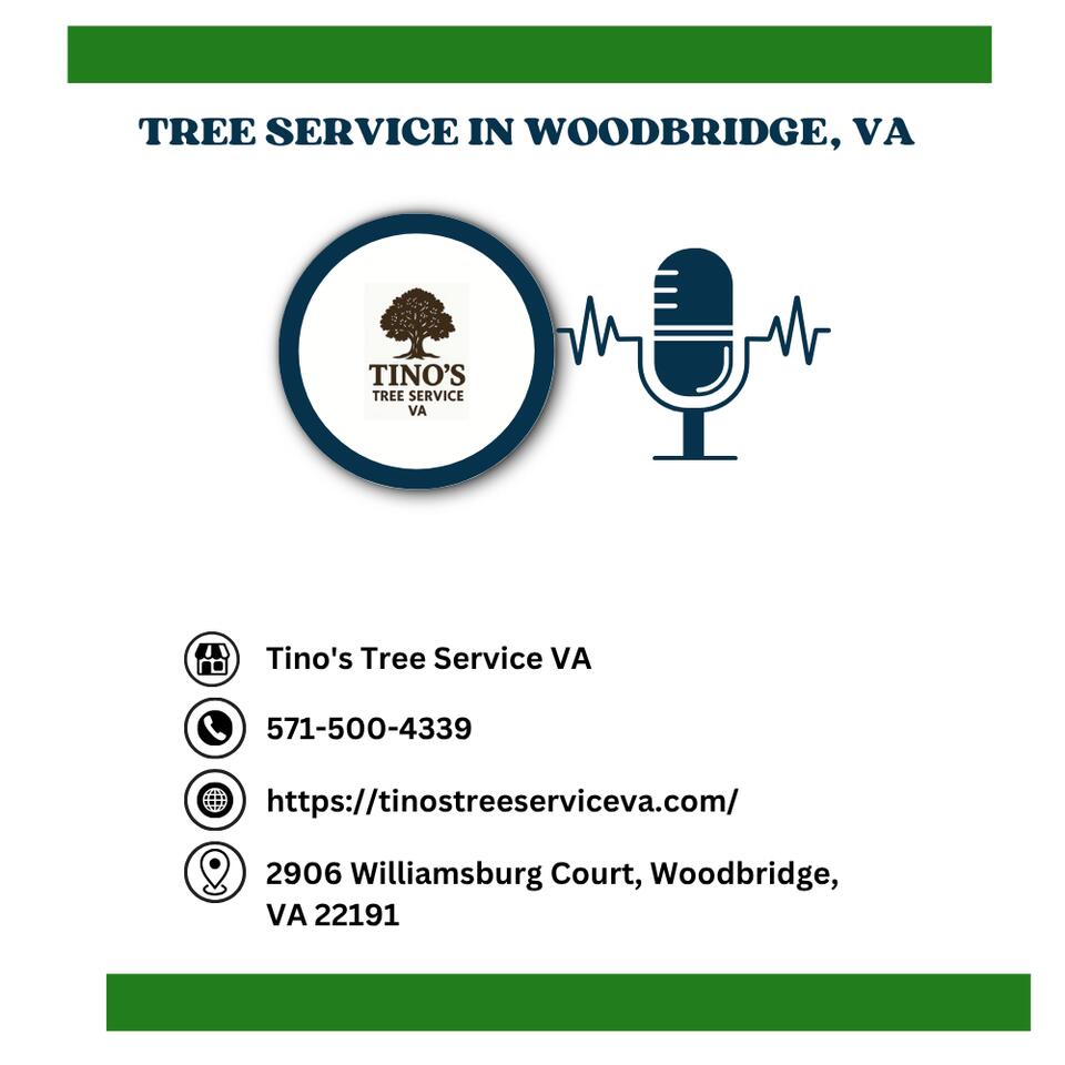 Tino’s Tree Service VA
