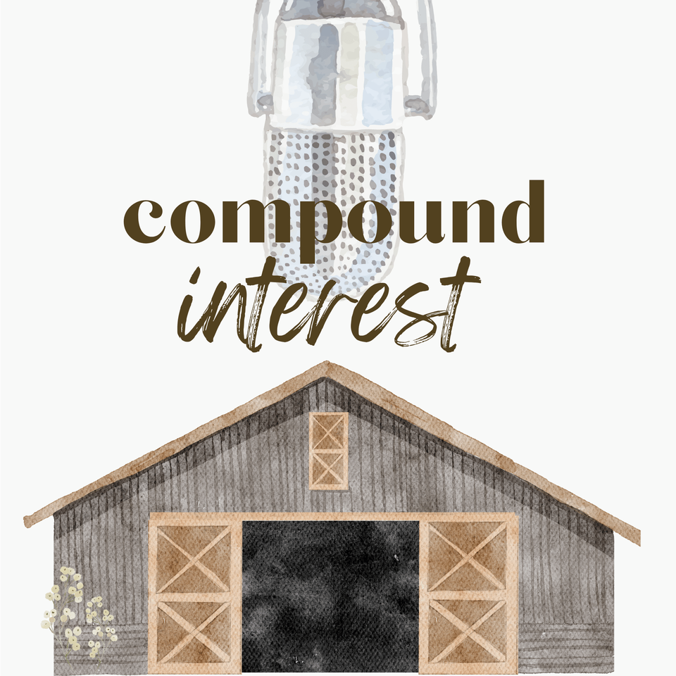 Compound Interest