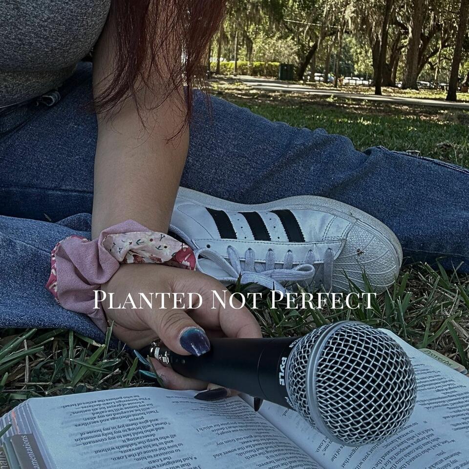 Planted Not Perfect