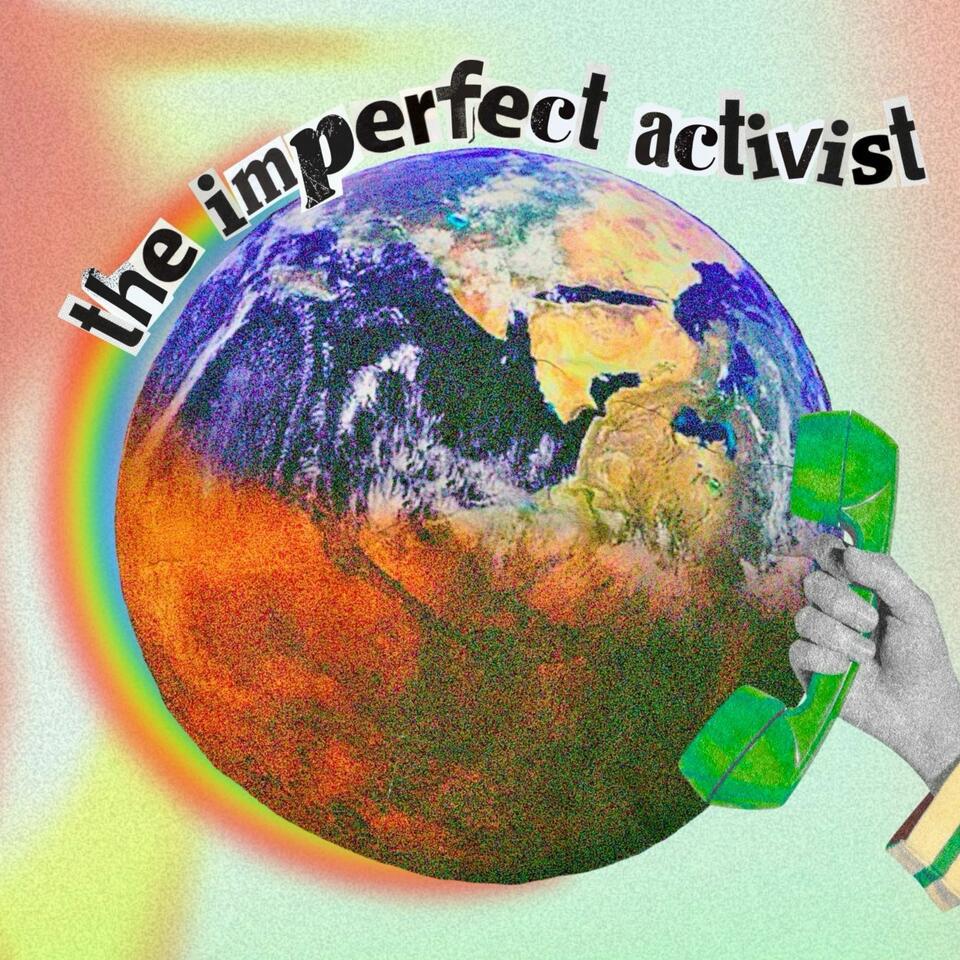 The Imperfect Activist