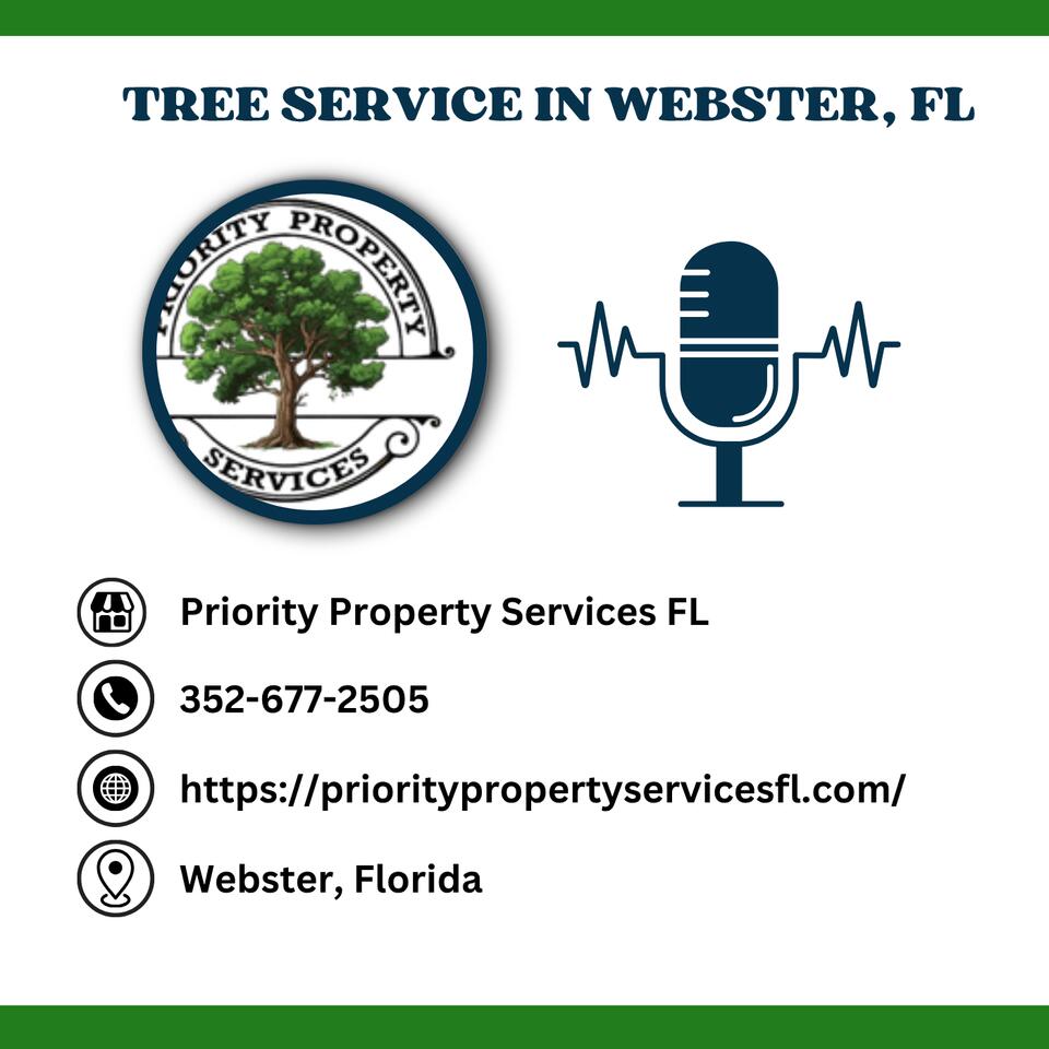 How can I save money on tree removal services in Webster, Florida