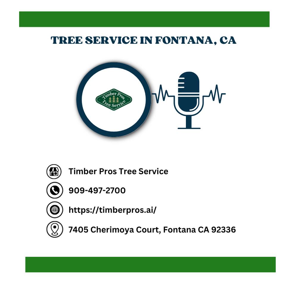 The timberprostreeservice1’s Podcast