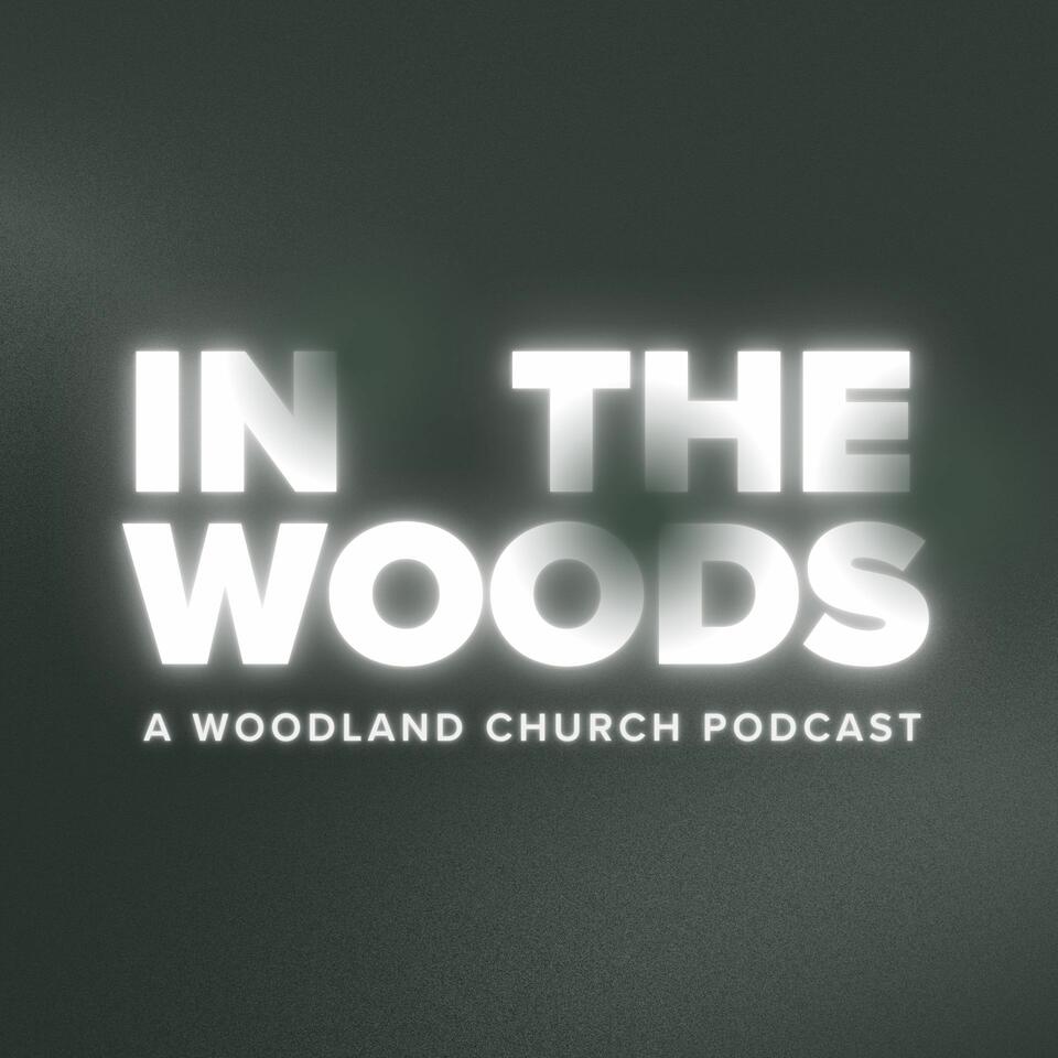 In the Woods