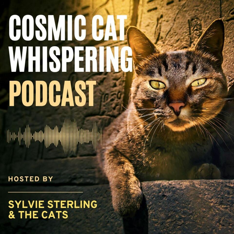 Cosmic Cat Whispering