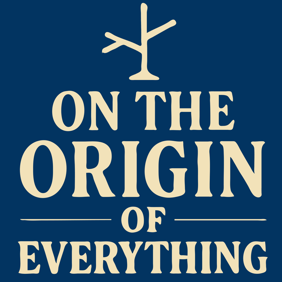 On The Origin Of Everything