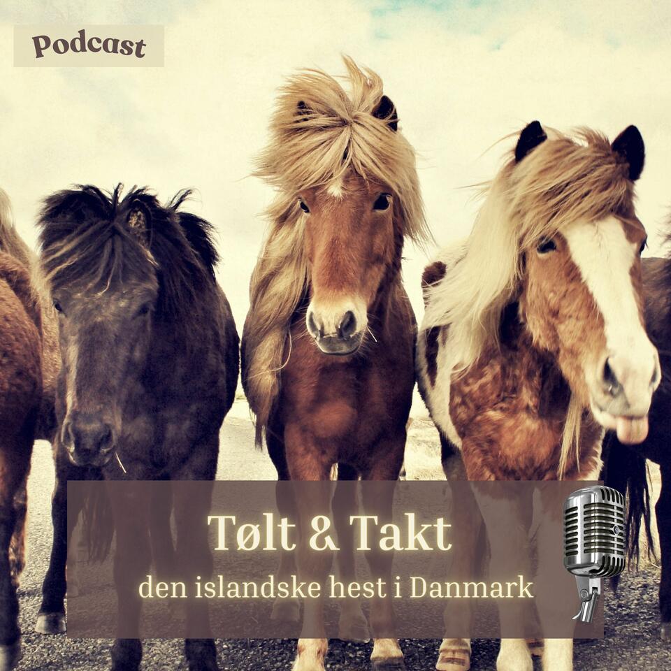 Tølt & Takt - den islandske hest i Danmark