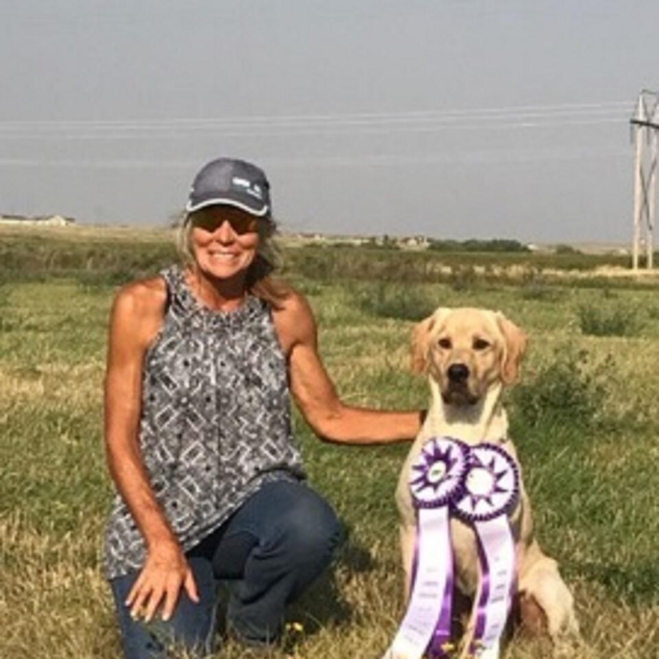 Training the Pointing Labrador