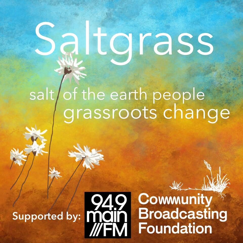 Saltgrass