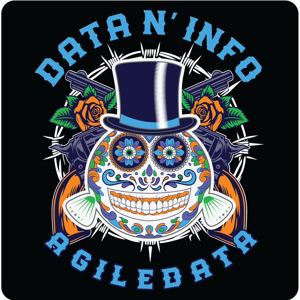 Agile Data N’ Info