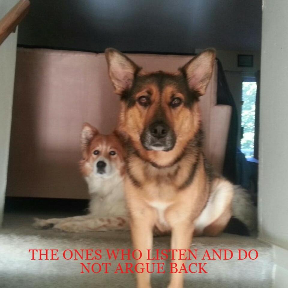 The thewhistleblower1’s Podcast