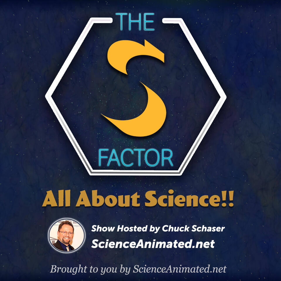 The S Factor