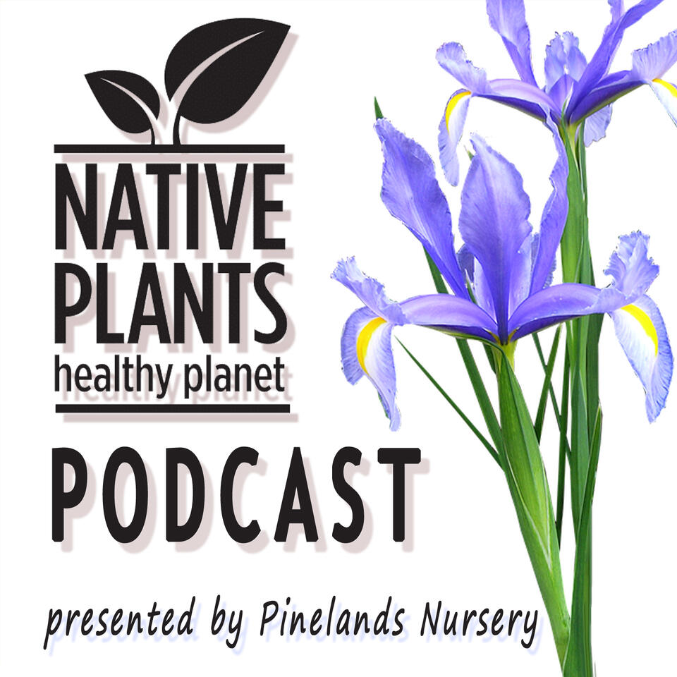 Native Plants, Healthy Planet presented by Pinelands Nursery
