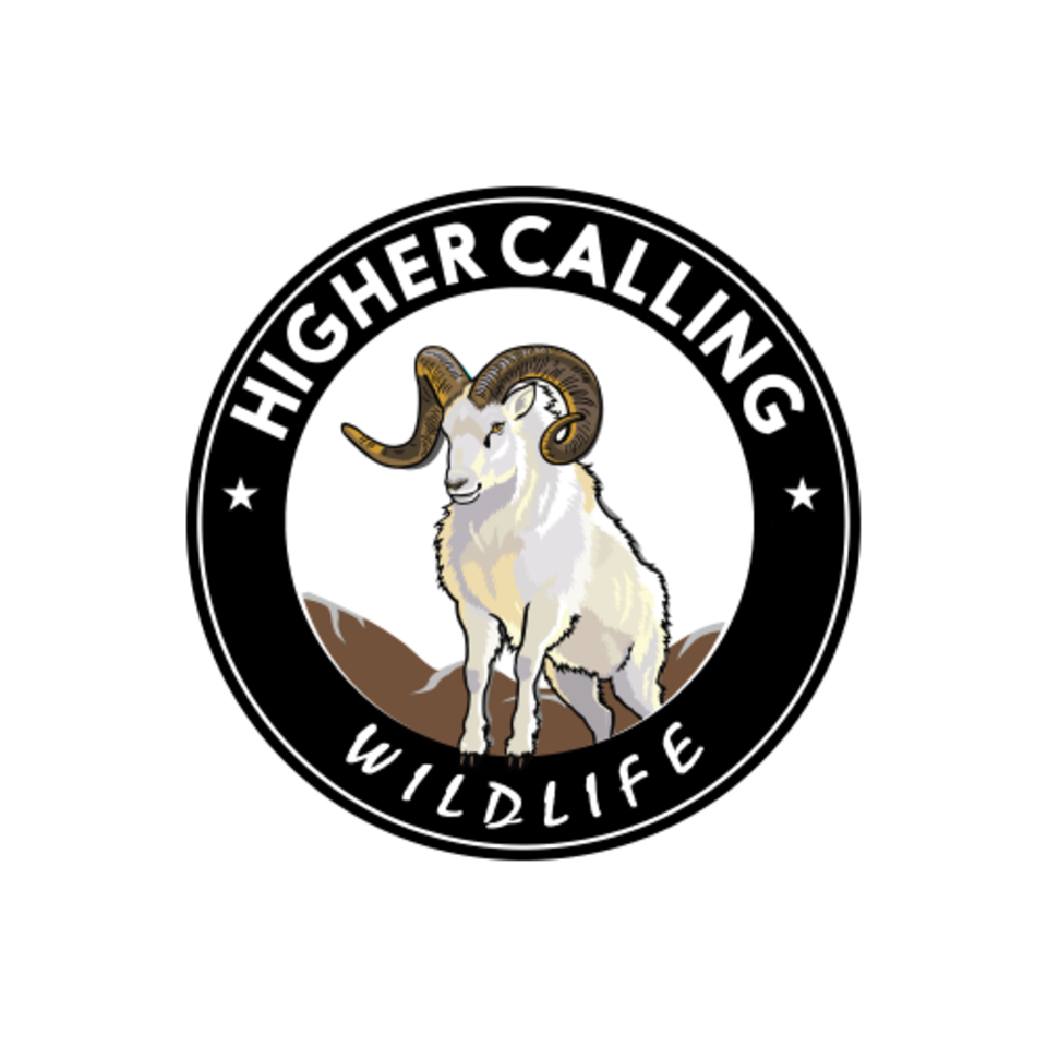 Higher Calling Wildlife with Chester Moore