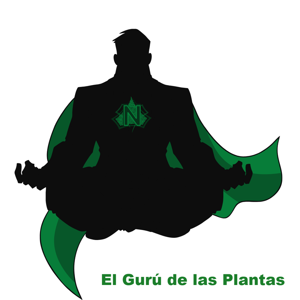 Superplantas