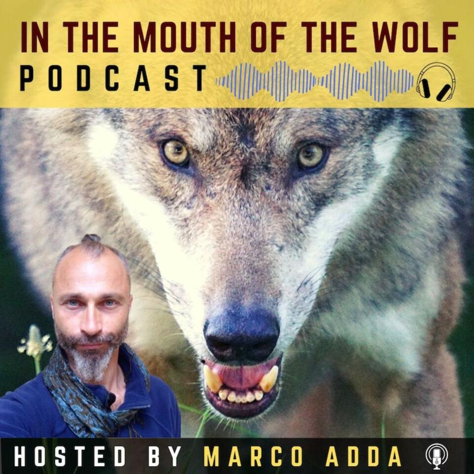 In The Mouth Of The Wolf PODCAST