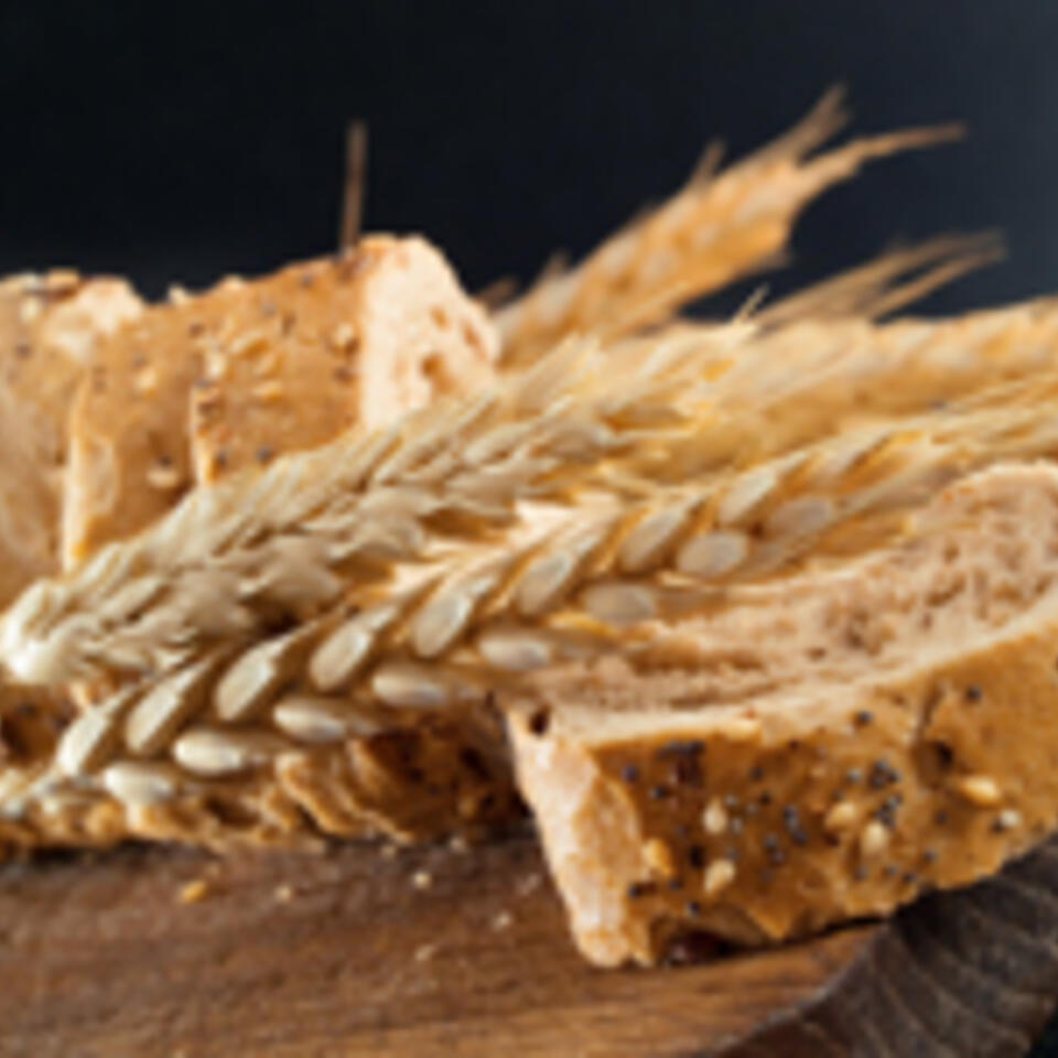 House of Bread