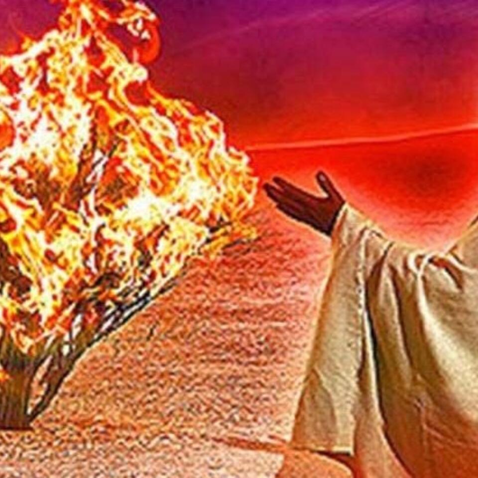 Len's Burning Bush