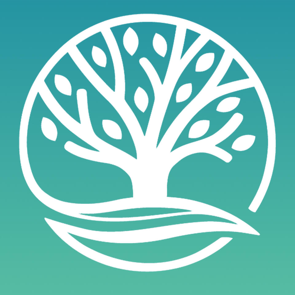 Life Vineyard Church in Mahomet IL
