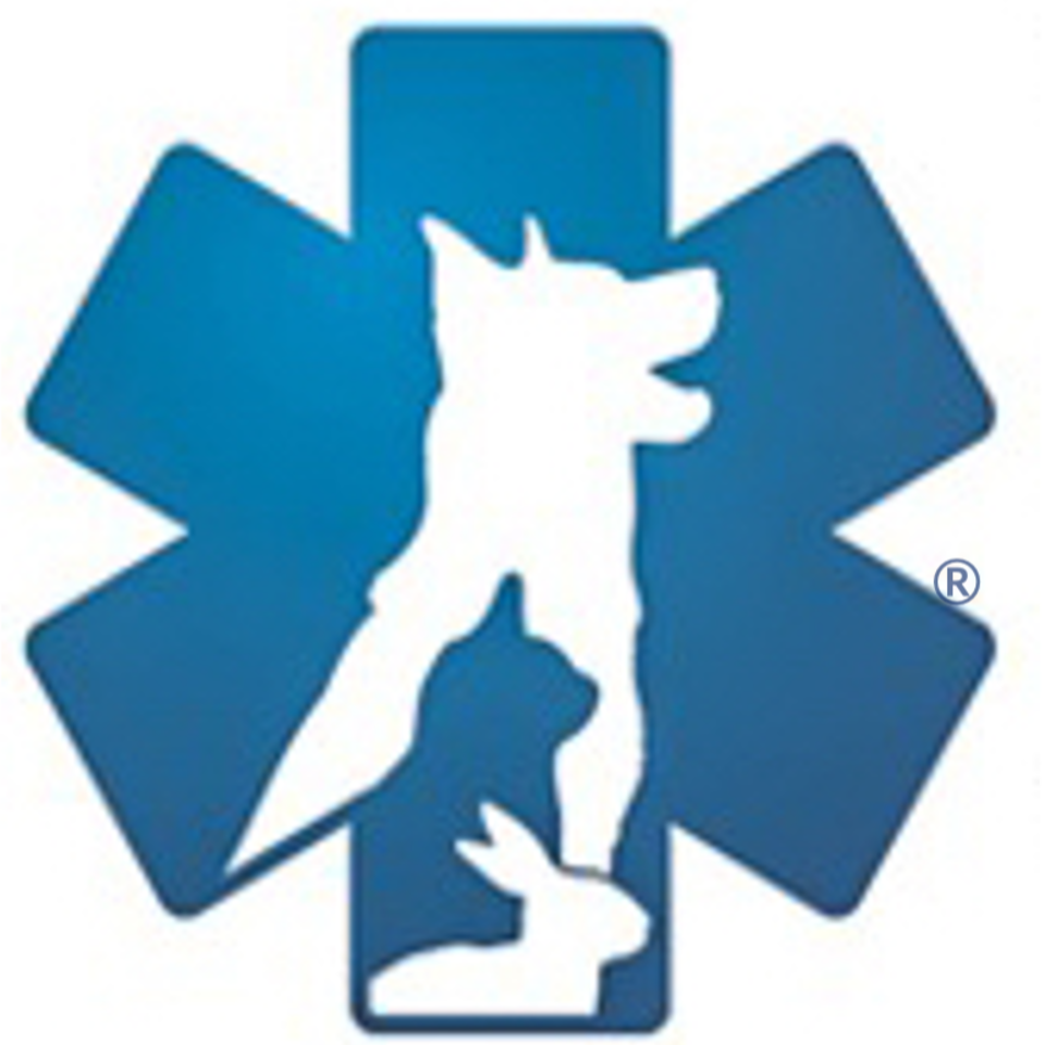Veterinary Team Training