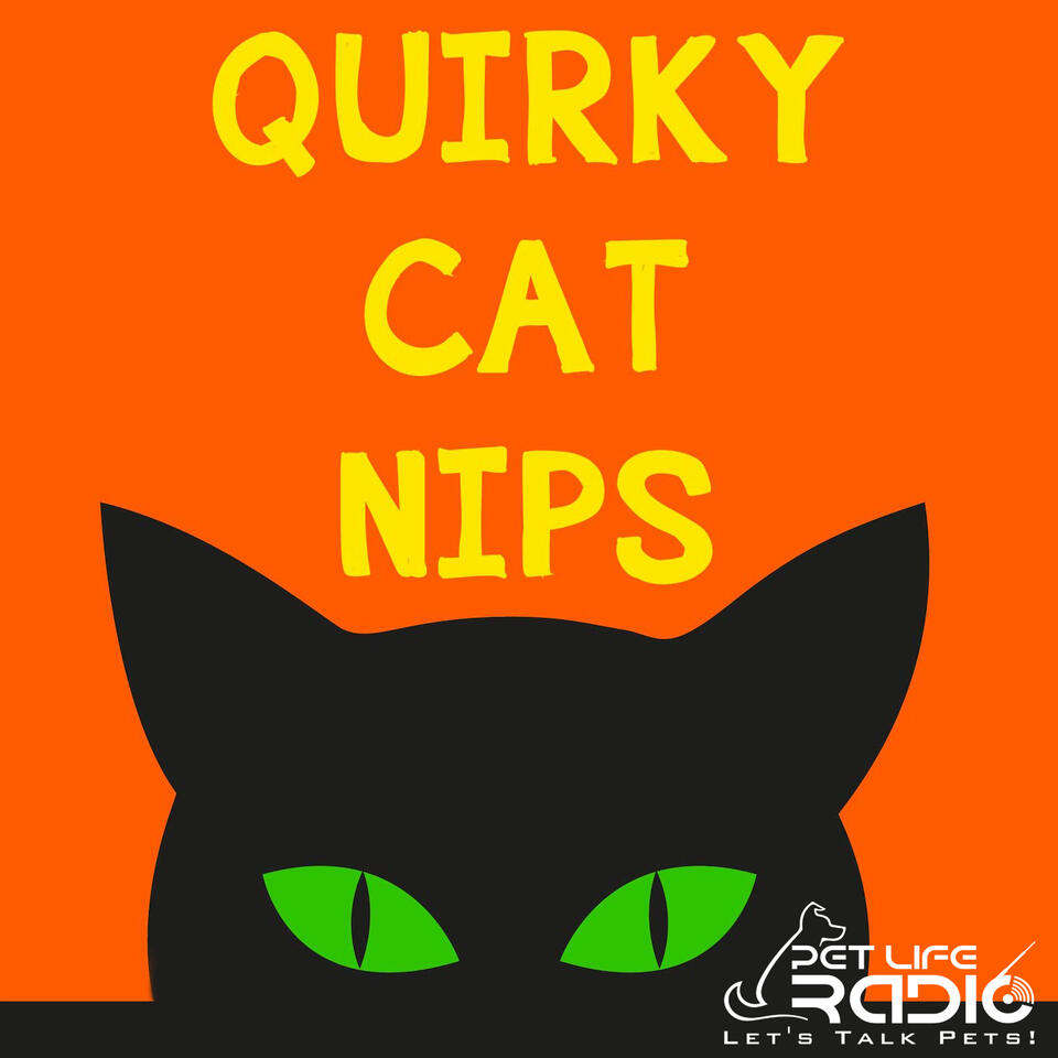 Quirky Cat Nips on Pet Life Radio (PetLifeRadio.com)