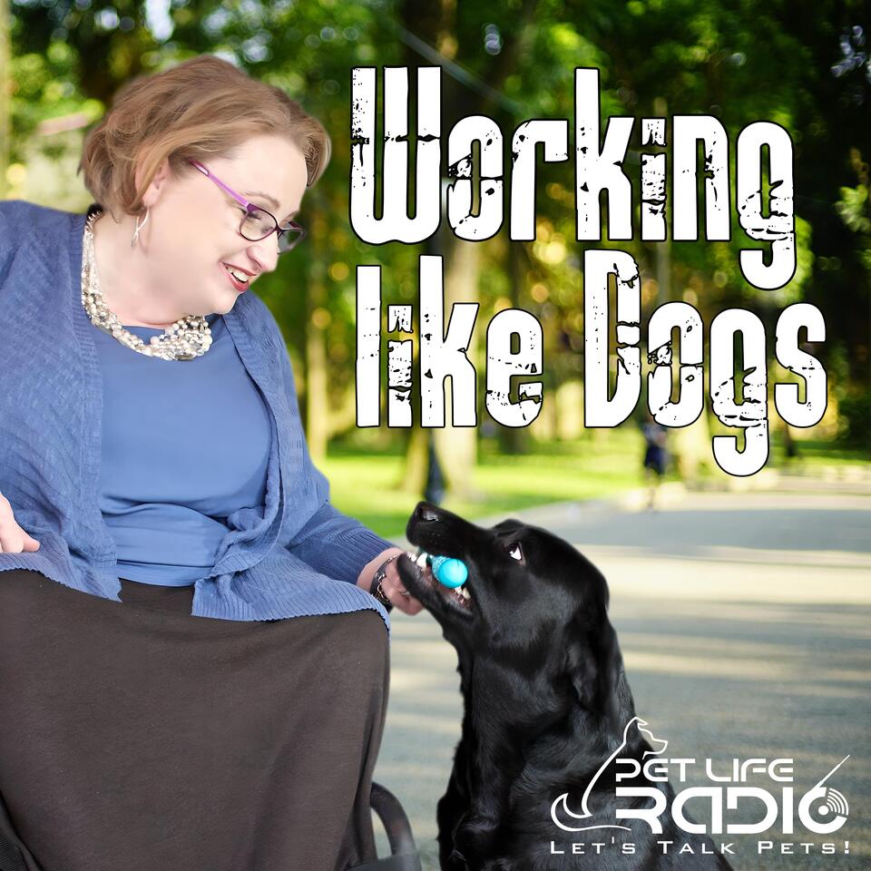 Working Like Dogs - Service Dogs and Working Dogs - Pets & Animals on Pet Life Radio (PetLifeRadio.com)