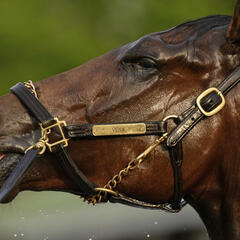 RJ HARRIS: DERBY TALK WITH ERIC JOHNSTON - RJ Harris