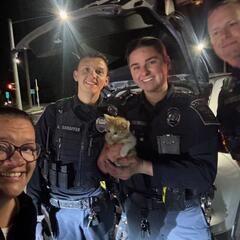 Holly has a cat jump into her wheel?  WHAT?  - RJ Harris