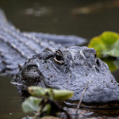 David & Meredith in the Morning