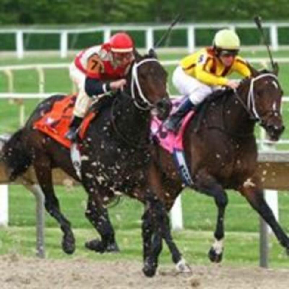 Horse Racing Talk on KXnO