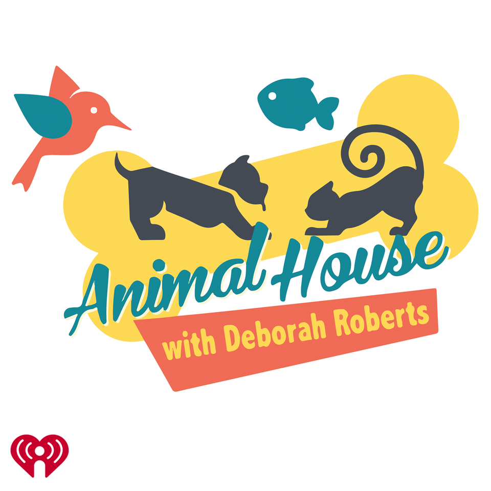 Animal House w/Deborah Roberts