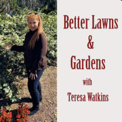 Better Lawns & Gardens