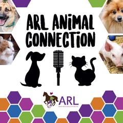 ARL Animal Connection 8/17/19 - ARL Animal Connection