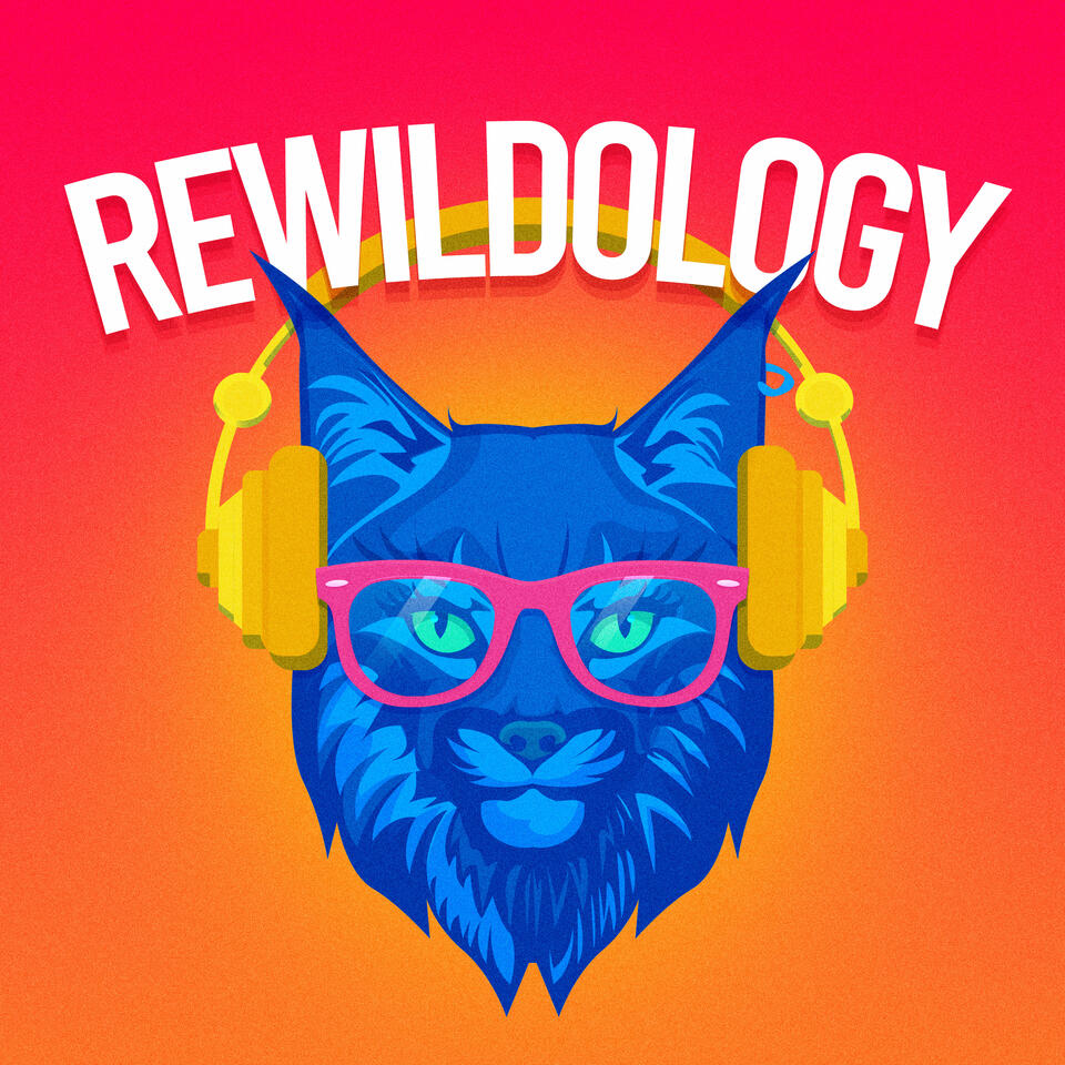 Rewildology